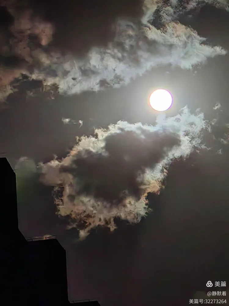 秋月映云秋月明